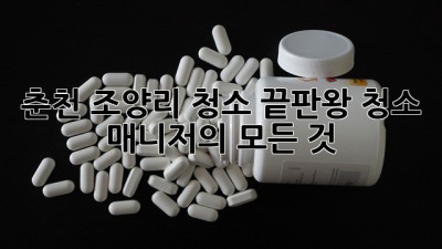 춘천 조양리 청소 끝판왕🥇 청소 매니저의 모든 것