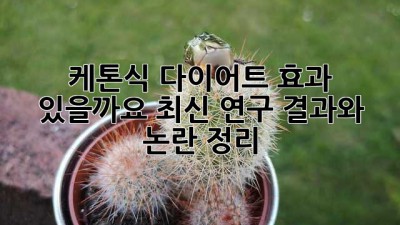 케톤식 다이어트, 효과 있을까요? 최신 연구 결과와 논란 정리