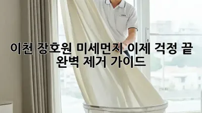 이천 장호원 미세먼지, 이제 걱정 끝! 완벽 제거 가이드